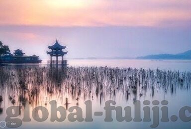 大象视频1234区2020-探索大象视频的多元化内容版图，2020年的1234区之旅