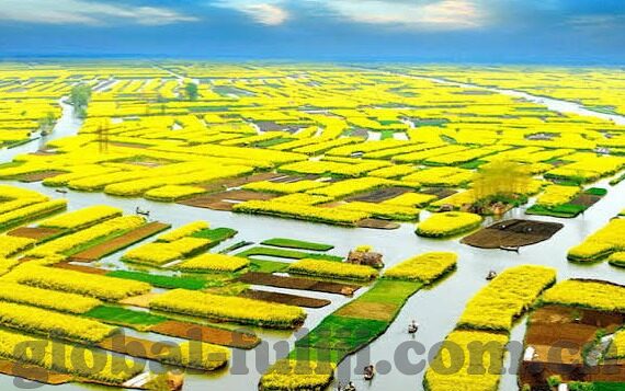 糖心app一对一-捍卫个人数据安全，理解及规避糖心APP一对一的潜在风险