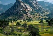 糖心视频日记app-探索糖心视频日记App，记录生活中的甜蜜瞬间